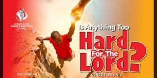 New Content Item (1)