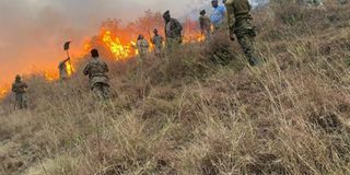 New Content Item (1)